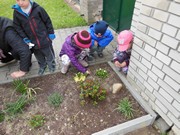 Pečujeme o květinový záhonek